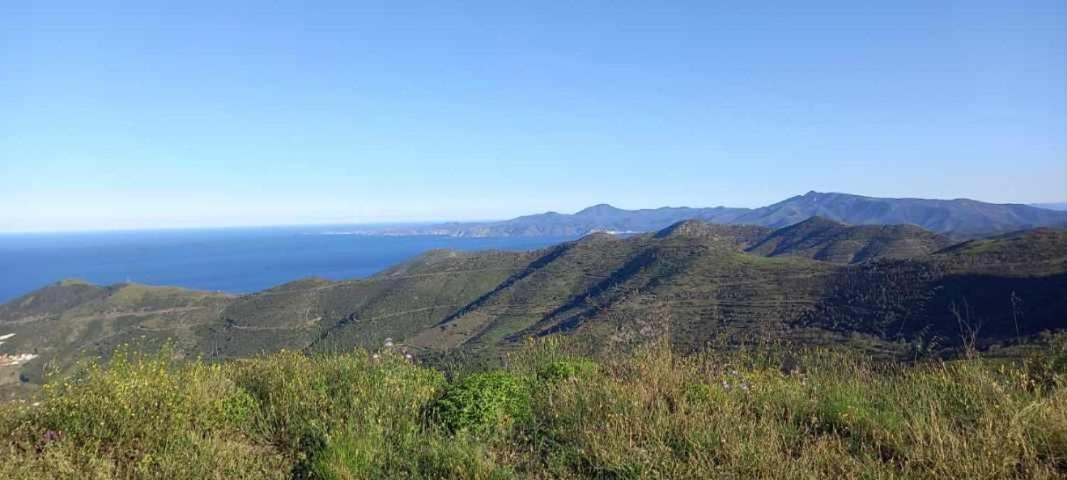 Appart F3 A 150 M De La Plage Avec Parking Prive Cerbère Extérieur photo