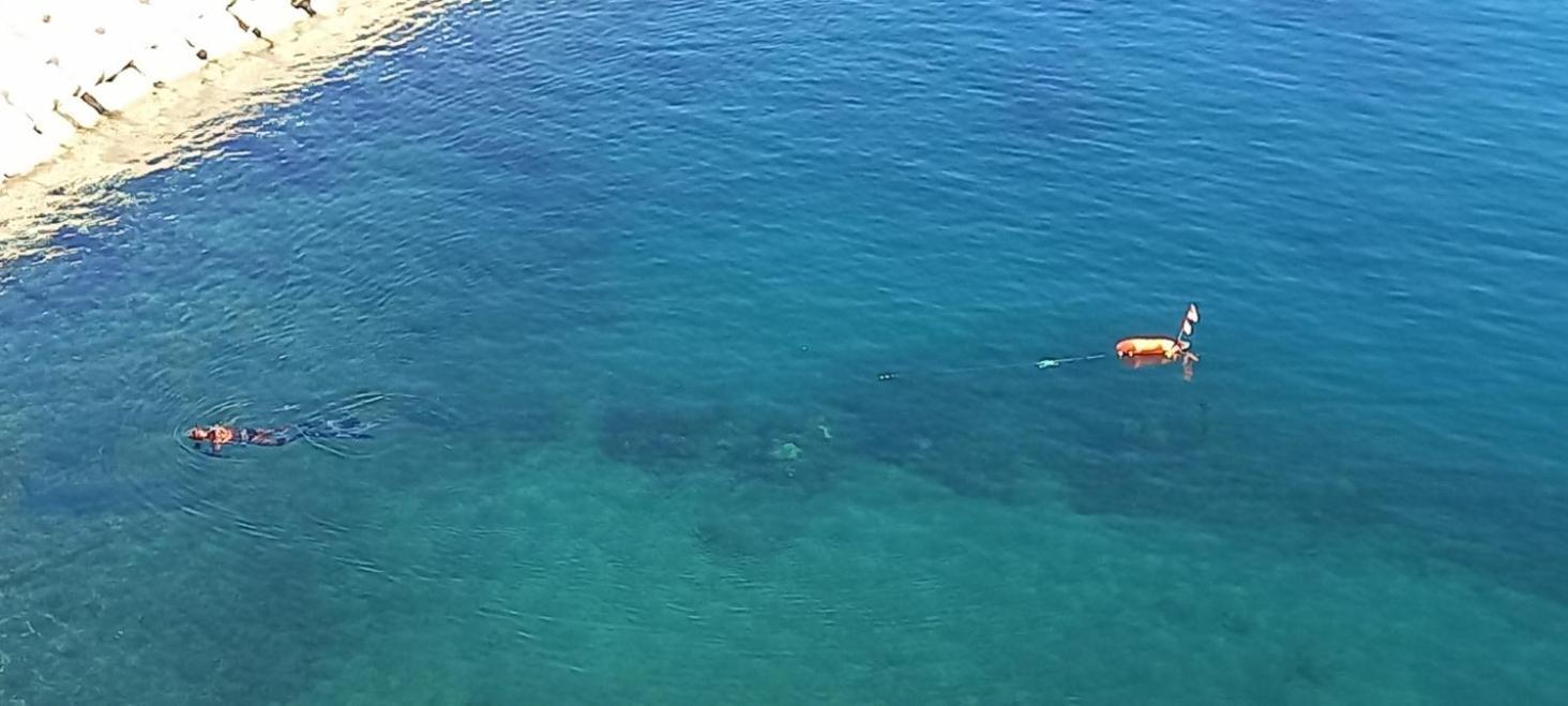 Appart F3 A 150 M De La Plage Avec Parking Prive Cerbère Extérieur photo