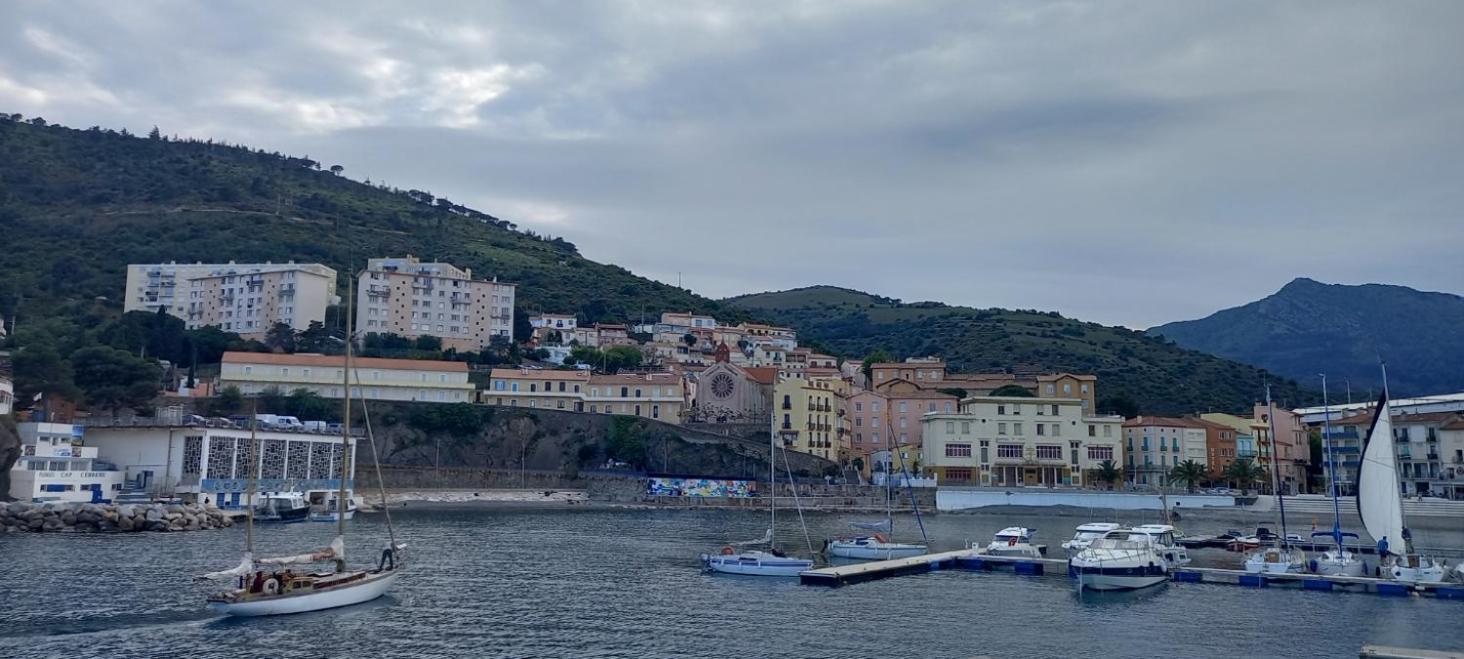 Appart F3 A 150 M De La Plage Avec Parking Prive Cerbère Extérieur photo